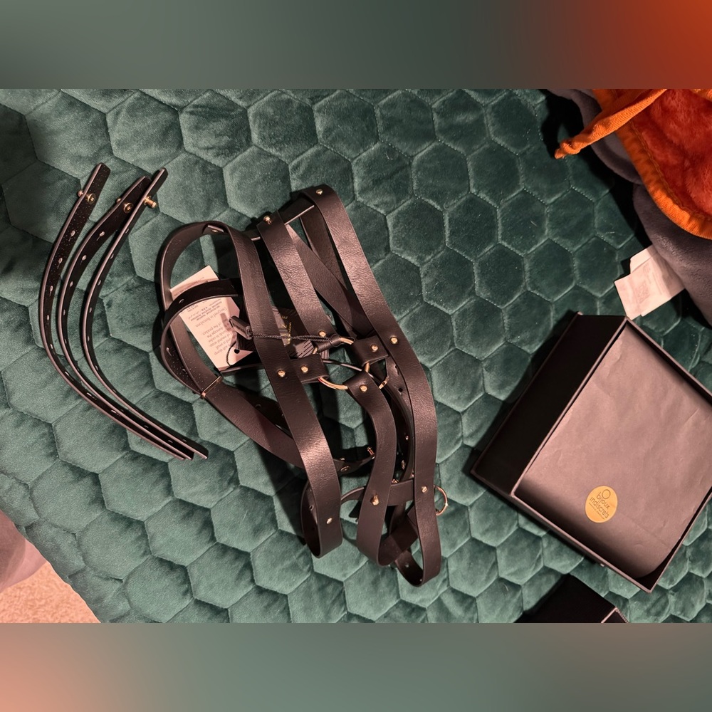 Bijoux Indiscrets Wide Belt and Restraints - Picture 2 of 6